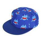 MASOCIO Kids Boys Baseball Cap Baby Toddler Summer Sun Hat Sports Adjustable Cap Age 2 3 4 Years Blue