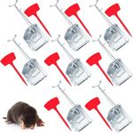 Qualirey 8 Pcs Gopher Traps Mole Mo