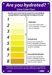 Urine Color Hydration Sign