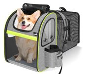 pecute Cat Carrier Dog Backpack Expandable Large, Portable Breathable Rucksack with Top Opening-Visible Acrylic-Pockets, Extendable Back More Space Great For Carrying Pets