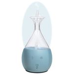 Bushberry-Mist Glass Essential Oil waterless Diffuser – Bernoulli's Principle, Non-WIFI, no lithium batteries.