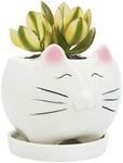 GeLive Cute Cat Succulent Planter Pot with Drainage Tray, White Ceramic Plant Container, Window Box, Unique Animal for Indoor Home Decor (White)