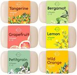 O Naturals 6 Pc Citrus Bar Soap Collection Vegan Body Soap Organic Ingredients Acne Face Cleanser Vitamin E & C Moisturizing Natural Soap Creamy Lather Triple Milled Gift Set Women & Men 680g Total