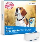 Tractive GPS Tracker for Dogs - Wat