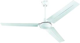 Westinghouse Lighting 7812714 Ceili