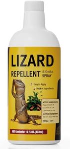 Lizard & G