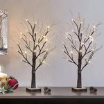 Dawsons Living Christmas Pre-Lit Twig Tree with Leaves - White Snow Birch Outdoor and Indoor Decorative Festive Tree - LED Lights (60cm Twin Pack)