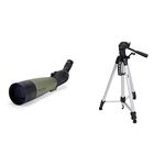 Celestron 52252 100 mm Ultima Spotting Scope 45 Degrees & Amazon Basics 60-Inch Lightweight Tripod with Bag