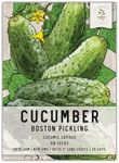 Seed Needs, Boston Pickling Cucumber Seeds - 60 Heirloom Seeds for Planting Cucumis sativus - Non-GMO & Untreated for an Outdoor Vegetable Garden (1 Pack)