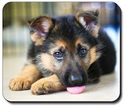 Art Plates brand - German Shepard Puppy Mouse Pad