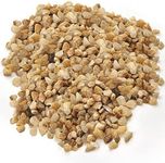 Royal Imports 5LBS River Pebbles Decorative Ornamental Rocks, Garden Landscaping Stones, Gravel Filler for Plants, Vases, Succulents, Home Decor, Aquariums, Crafting, Animal Habitat - Mini Natural