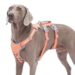 Dog Harnesses Escape Proof, Secure 