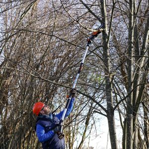 WORX 18V Cordless Pole Chainsaw – 20cm Telescopic, 2Ah Battery, 3.6m Reach