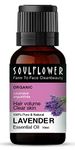 Lavender Essential Oils