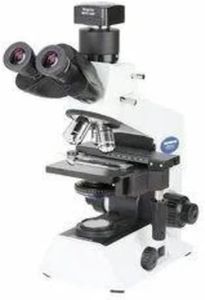 Magnus MX-