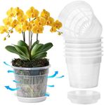 T4U Orchid Pot, 6 Pack 5.5 Inch Cle
