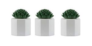 TIKI Brand 3-Pack Table Torch Glass Succulent White - Outdoor Table Top Lighting for Patio Lawn Backyard, 5.5 in, 1120165