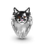 GNOCE Maine Coon Cat Charm Bead Sterling Silver Charm Fit Bracelet/Necklace for Women Girls Wife Daughter