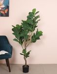 Home Bloom Artificial Fiddle Leaf Fig Potted Plants Natural Faux Plants with Home Décor Lyrata Greenery Plant Indoor Outdoor Decor for House Home Office (5 Feet, Green)