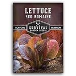 Red Romaine Lettuce Seed for Planti