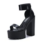 Aeslech Women's Ankle Strap Platform Chunky Heels Block High Heels Lug Sole Sandals Black Tag Size 40 - UK 7