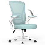 naspaluro Office Ergonomic Desk Chair with 90° Flip-up Armrest Lumbar Support, Height Adjustable, Executive Swivel Computer Chair with Padded Seat Cushion for Home-Green