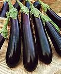 KIRA SEEDS - Eggplant Long Pop - He