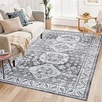 LuxFocus Area Rug for Living Room I