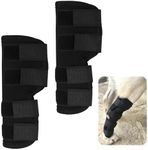 hoeslaw Dog Leg Braces for Rear Leg, Adjustable Dog Leg Sleeve Added Mobility Safety for Active Aging Dogs, Knee Support Straps for Outdoor Adventures Daliy Use Enhanced Stability (L)