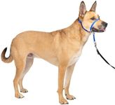PetSafe Gentle Leader Headcollar No