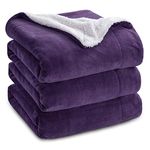 Bedsure Purple Sherpa Blanket Queen Size for Bed Thick Fluffy Fleece Blanket Plush Fuzzy Soft Blankets for Queen Size Bed Large Cozy Warm Blanket for Winter Full/Queen (90 inch x90 inch )