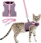 KUTKUT 2024 Newewst Style Breathable Dog Cat Harness and Leash Set Escape Proof - Reflective Vest Harness for Kitten Small Medium Dogs with Durable Leash for Outdoor, Training Walking (L)