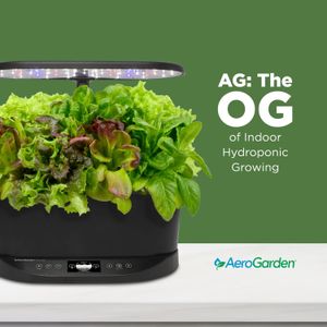 AeroGarden Bounty Basic Indoor Garden, Black – Hydroponic Grow System