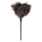 Natural Ostrich Feather Duster 14.9 inch Fluffy Mini Dusters with Plastic Handheld for Cleaning Car Keyboard Office 1 Pcs