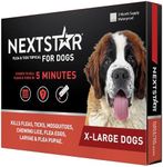 NEXTSTAR F