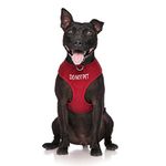 Dexil Limited DO NOT PET Red Colour Coded Non-Pull Front and Back D Ring Padded and Waterproof Vest Dog Harness PREVENTS Accidents By Warning Others Of Your Dog In Advance (M)