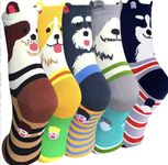 Dog Socks Gift Box 5 Pairs of Dog Socks Gift for Dog lover Gift for Dog Walker Sitter UK Size 4-7 Stocking Filler (Box1)