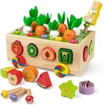 Coogam Montessori Fine Motor Toys f