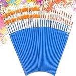 Xelparuc 60 PCS Small Paint Brushes, Xelparuc Professional Round Flat Fine Tip Paint Brush Set, for Classroom Watercolor Canvas Face Painting Model Painting, Fine Detailing