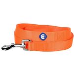 Blueberry Pet Durable Classic Dog Leash 4 ft x 1", Florence Orange, Large, Basic Nylon Leashes for Dogs