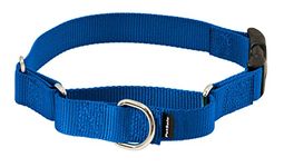 PetSafe Martingale Collar with Quick Snap Buckle, 3/4" Small, Royal Blue