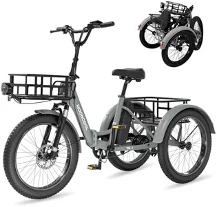 NAIZEA 20" Fat Tire Electric Trike - 48V 500W Folding Electric Tricycle for Adults