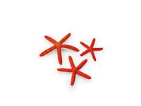 biOrb starfish 3 piece set Red