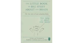 The Little Book of Big Stuff about the Brain: The True Story of Your Amazing Brain (Independent Thinking Series) (The Independent Thinking Series) (The Little Books)