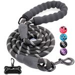 Dog Leash For Large Dogs