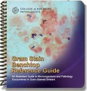 GRAM STAIN BENCHTOP REFERENCE GUIDE