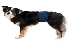 Trixie Belly band for male dogs