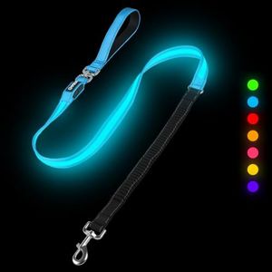 LIT&GO LED Bungee Dog Leash - No Pull Shock Absorbing, USB-C Rechargeable Light Up Leash with 7 Colors, 16H Runtime, IPX7 Waterproof & Padded Handle for Night Walking, Sky Blue (5 FT Extends to 6 FT)