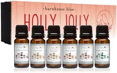 Barnhouse Blue Holly Jolly Set of 6 Premium Fragrance Oils - Almond, Chocolate, Cinnamon, Musk, Pine Needle, Pumpkin - for Candle, Soap Making, & More - 10ML