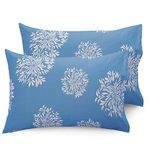 Huesland by Ahmedabad Cotton 144 TC Cotton Pillow Cover Set of 2 - Blue